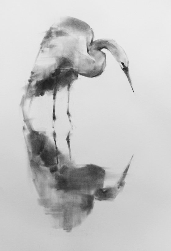 Egret 01