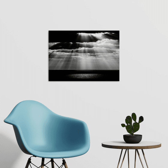 Spot | Limited Edition Fine Art Print 1 of 10 | 60 x 40 cm