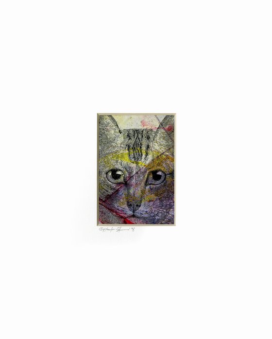 Cat 1 - Painting by Kathy Morton Stanion