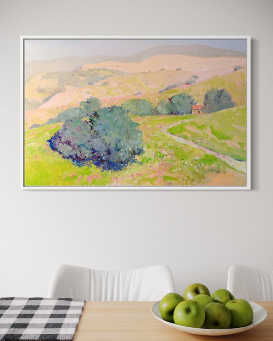 Summer. California Mountains