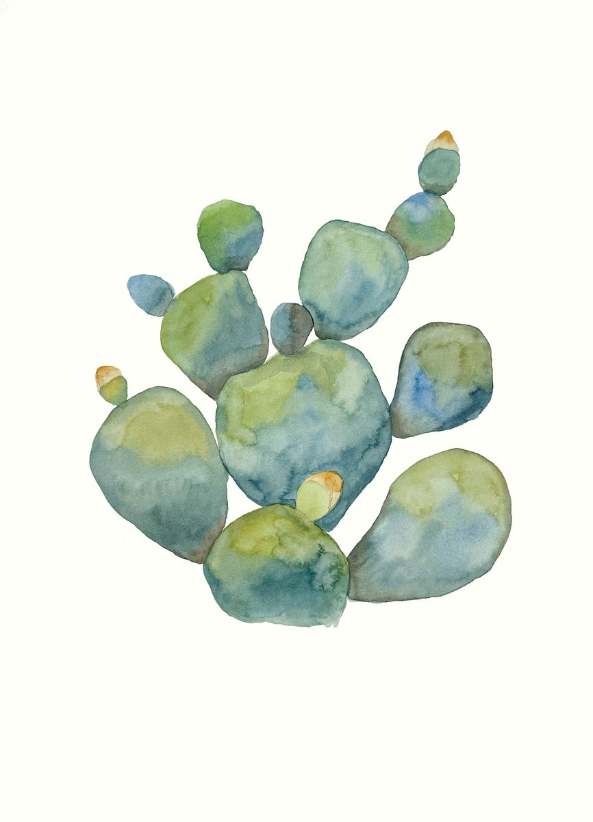 Watercolor Cactus 1 by Irina Anis