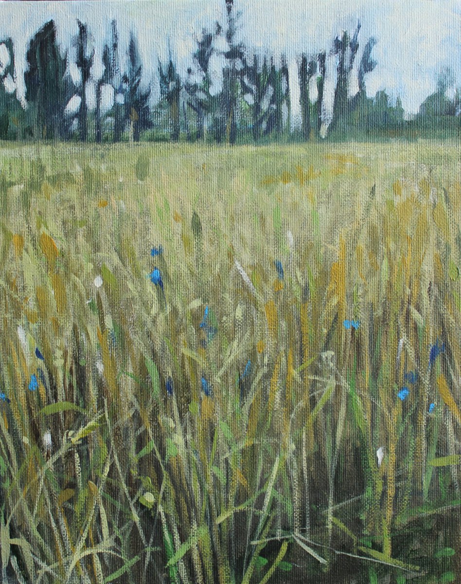 Meadow by Joanna Plenzler