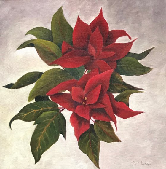 Poinsettia - Framed