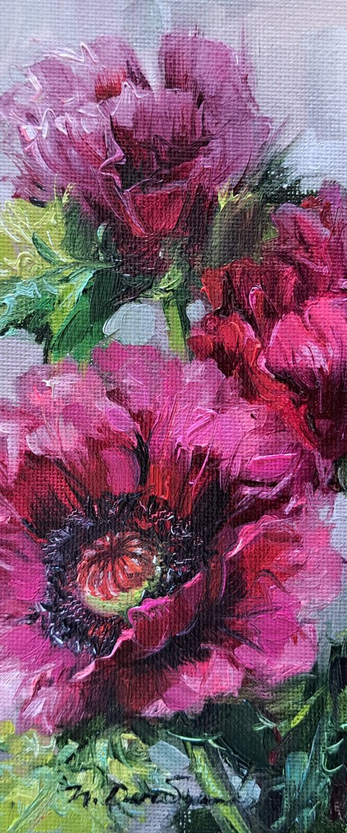 Purple poppies by Nataly Derevyanko