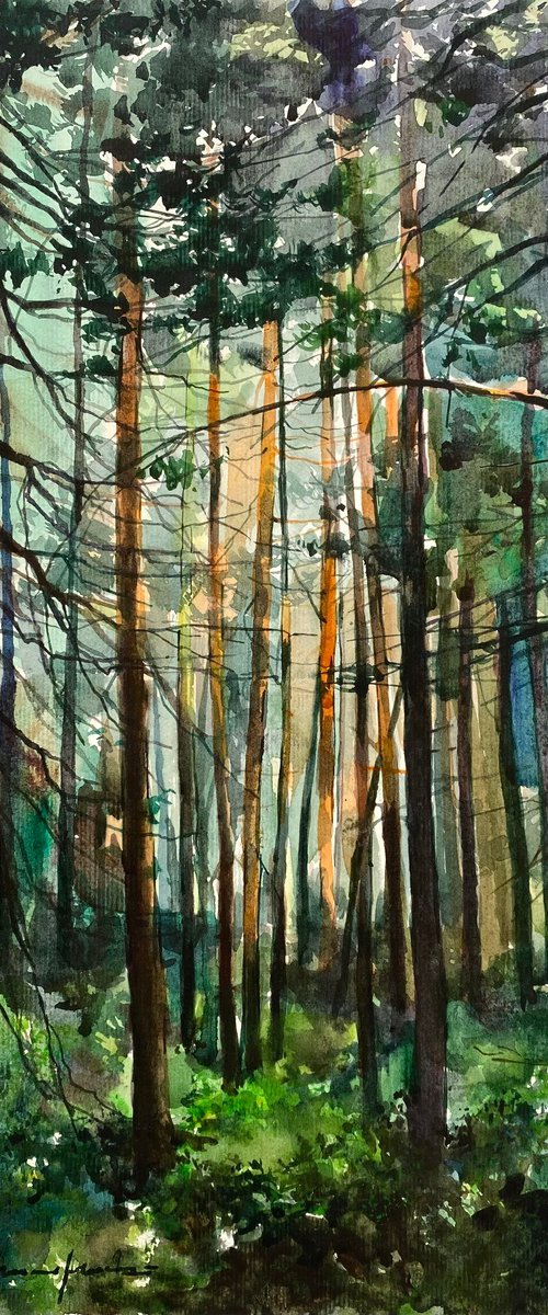 Forest Rays by Artem Grunyka
