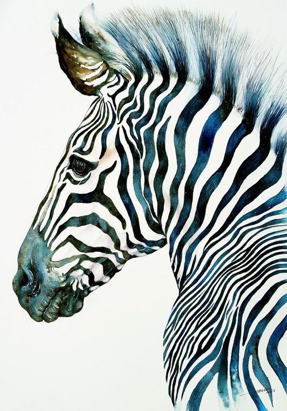 Midnight Blue Zebra