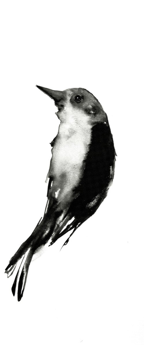 Bird by Nadia Moniatis