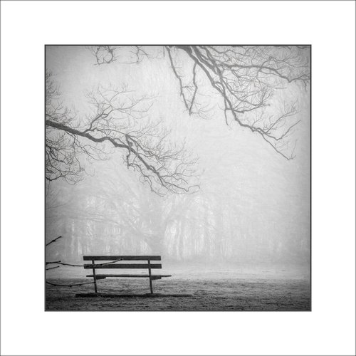The Misty Bench... by Martin  Fry