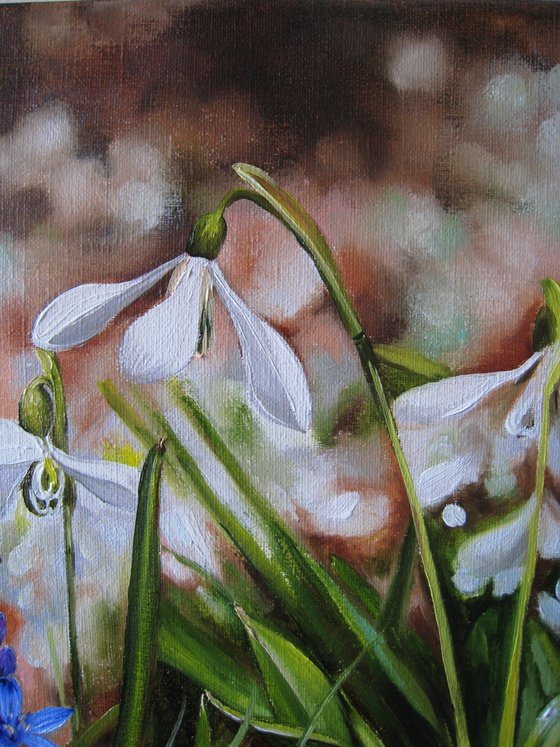 Snowdrops and Blue Blossom