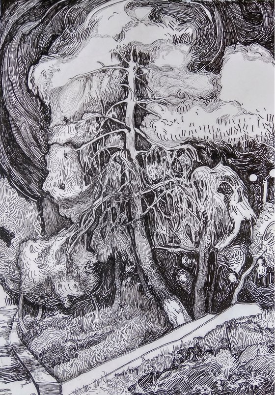 Metamorphosis