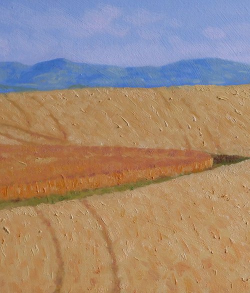 Field of wheat in Tuscany by Claudio Ciardi