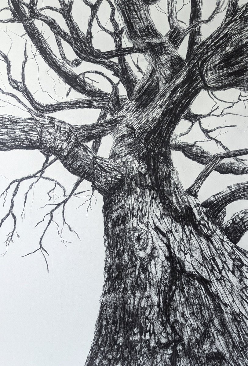 Photorealistic Landscape Charcoal Drawing By Sophie Adair, 22 X 30", Renewed, Original Artwork