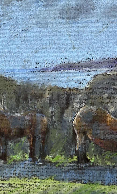 Ponies outside Boscastle by Louise Gillard