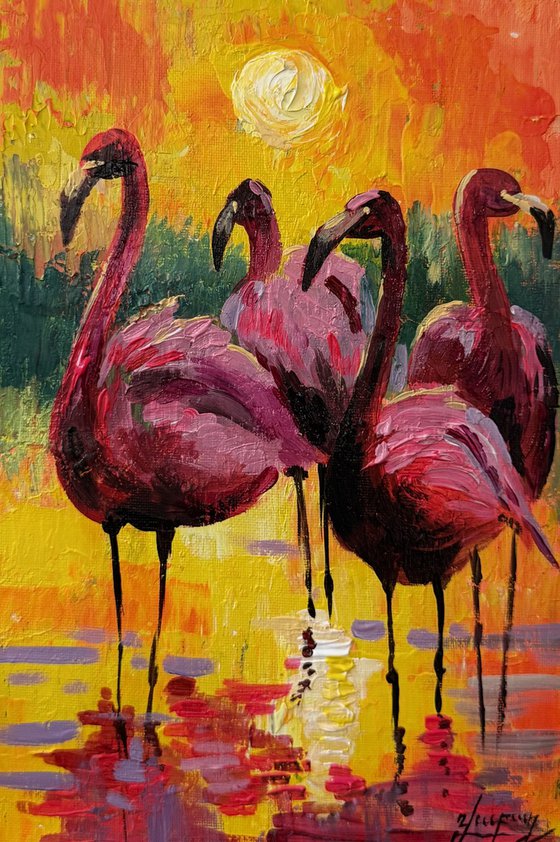 Flamingos at Sunset