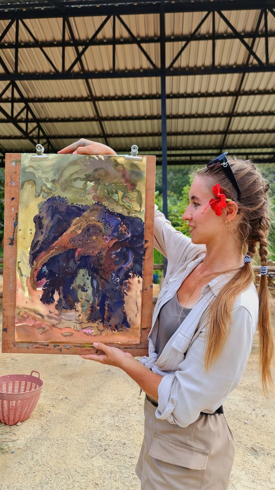 Pinky and Sanui Elephants in Phuket Sanctuary