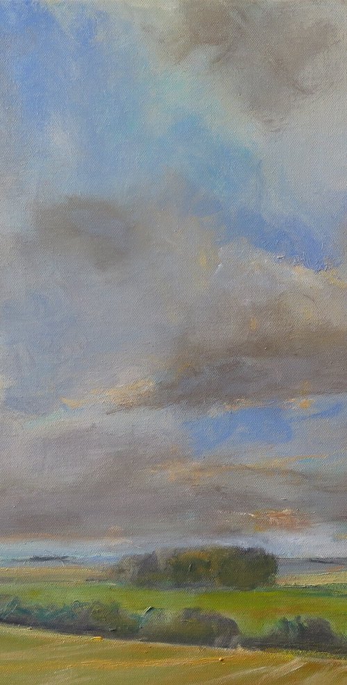 Evening Clouds, Feb 24 by Malcolm Ludvigsen