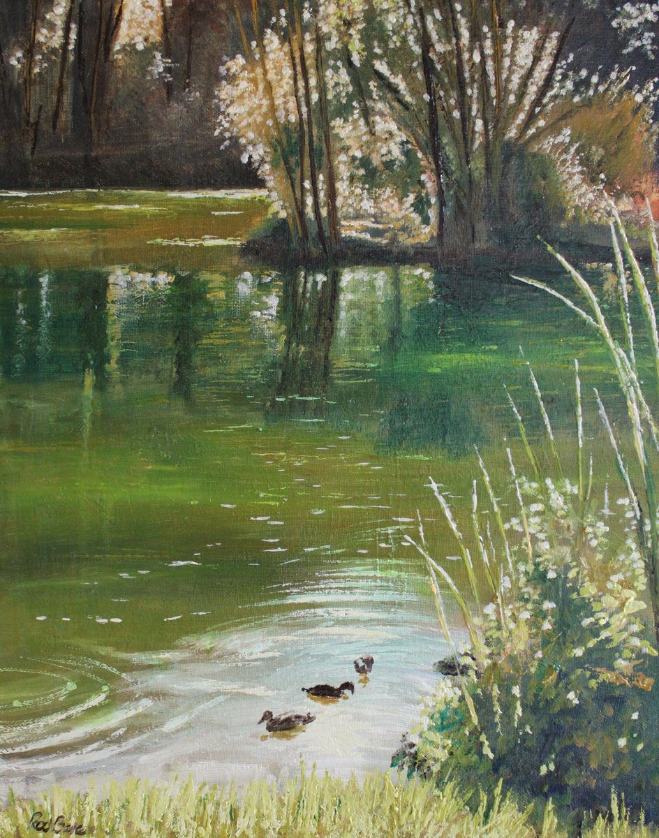 A Squabble of Ducks in Russell Gardens by Rod Bere
