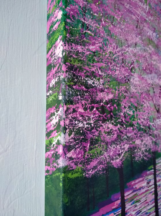 Magenta and Light