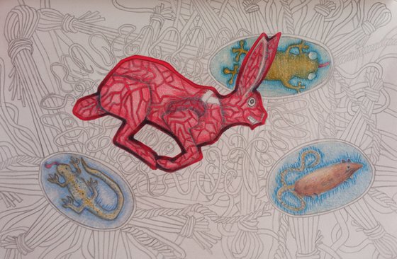 Illustration with hare in coloured pencils on paper