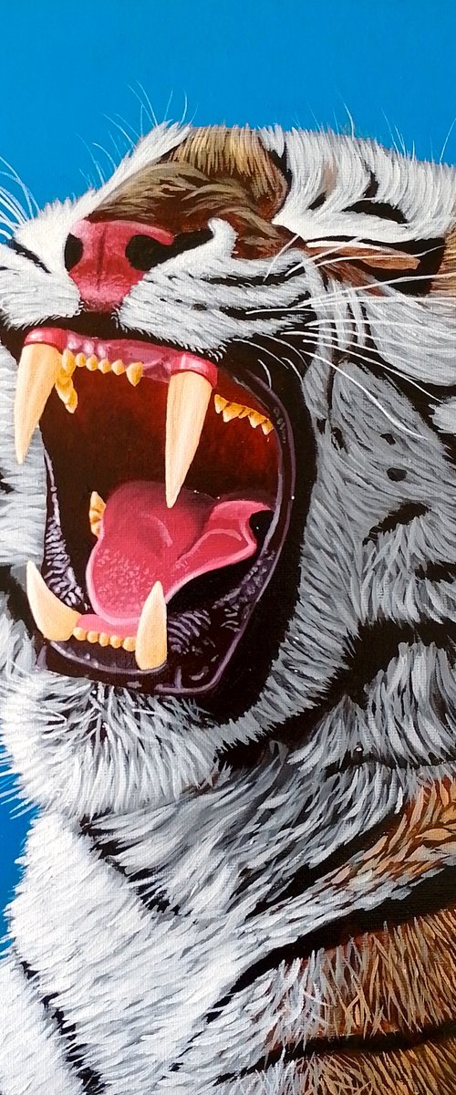Tiger by Barry Gray