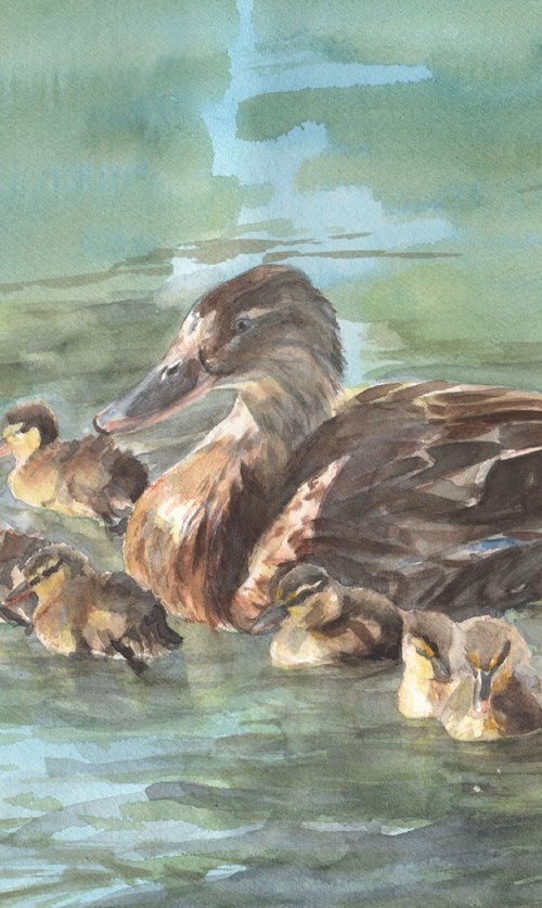 Ducklings Day Out by Sarah Stowe