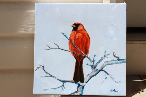 Song birds - Cardinal II