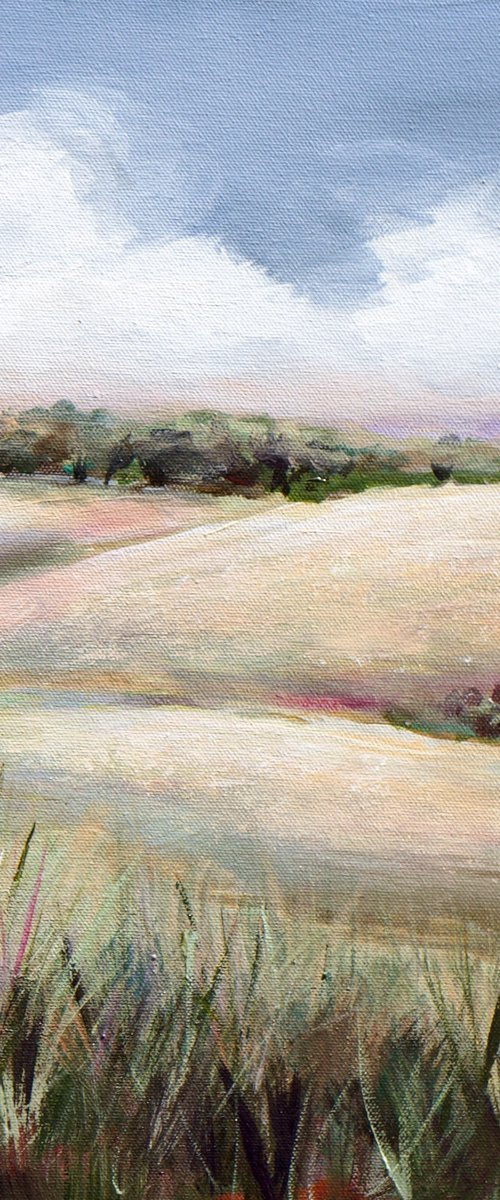 Summer in the Foothills by Karen Hale