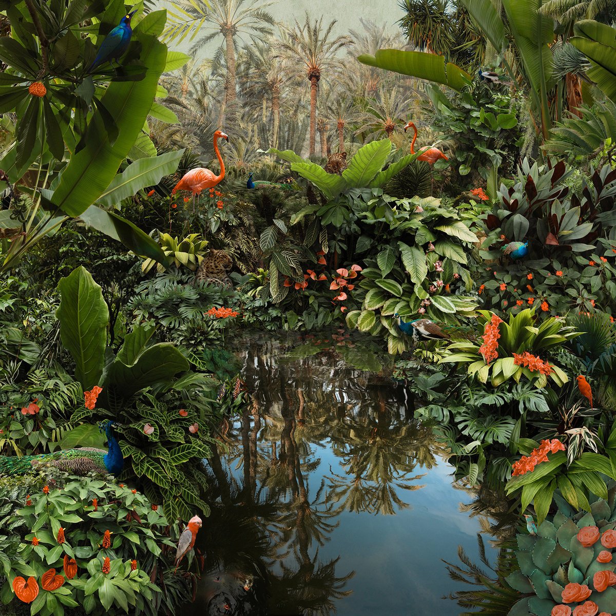 Impressionistic Landscape Photograph By Nadia Attura, 28 X 28", Backwaters Oasis, Original Artwork