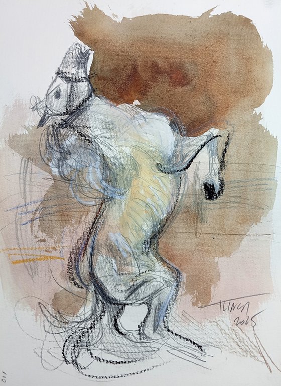 Jumping Stallion (study)