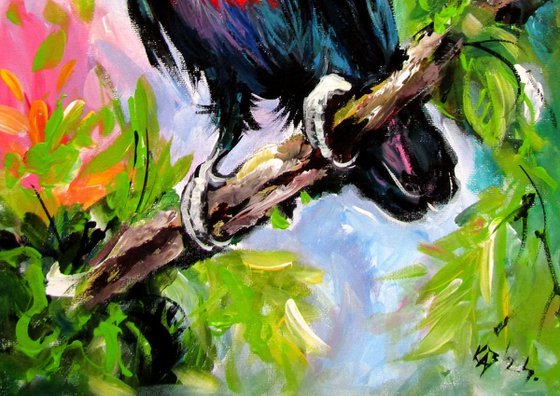 Toucan II