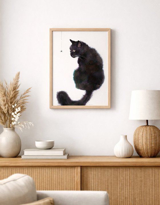 Black Cat and Spider