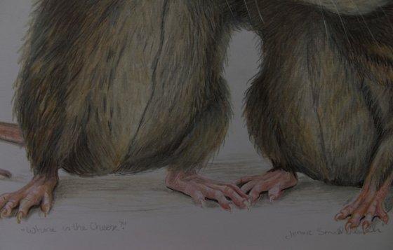 Where is the Cheese? - Colored Pencil Drawing