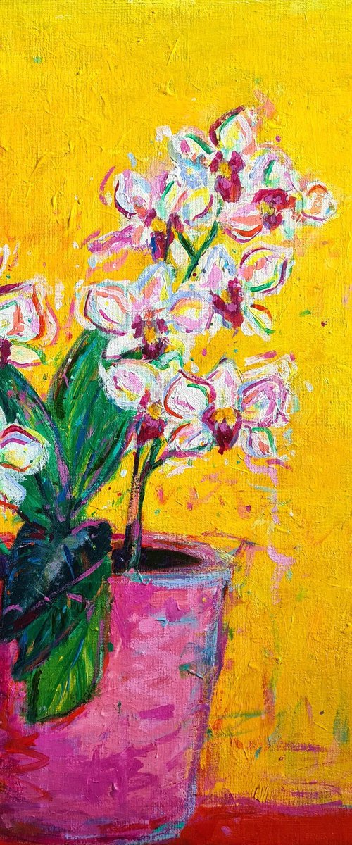 Orchids by Dawn Underwood