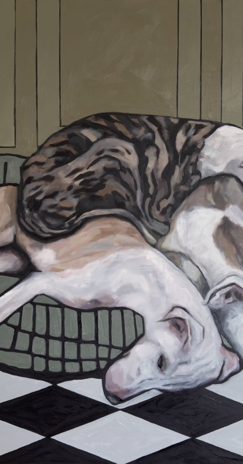 Where they settle by Lorna Mousley