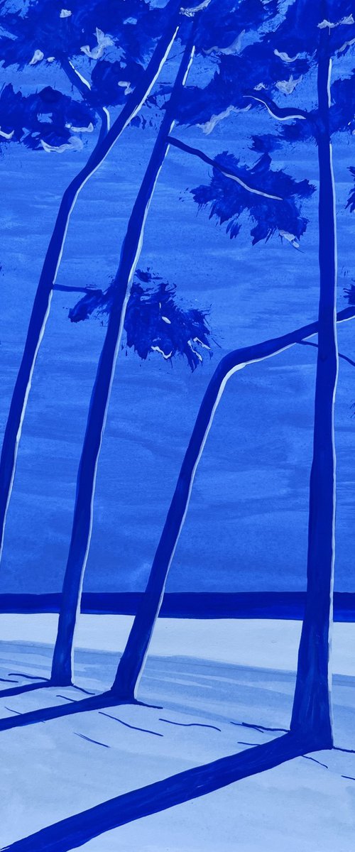 Cap Coz ultramarine by Cadiou Frederic