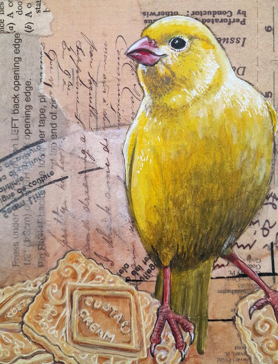 The Canary and the Custard Creams
