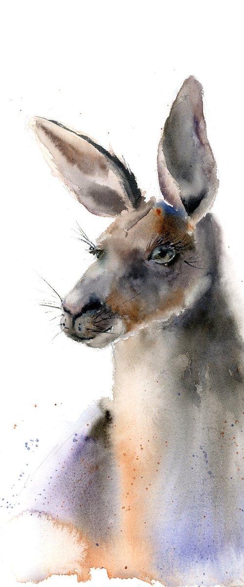 Kangaroo portrait by Olga Tchefranov (Shefranov)