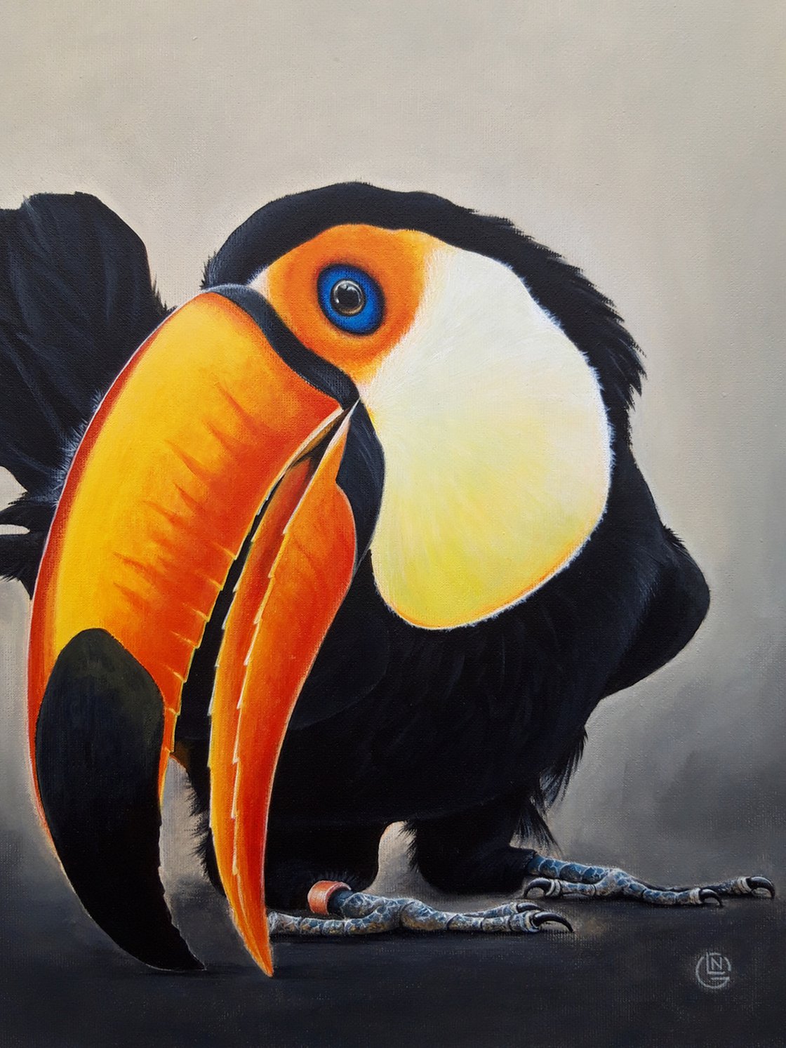Original Acrylic Painting - Toucan Tropical Bird Acrylic Painting