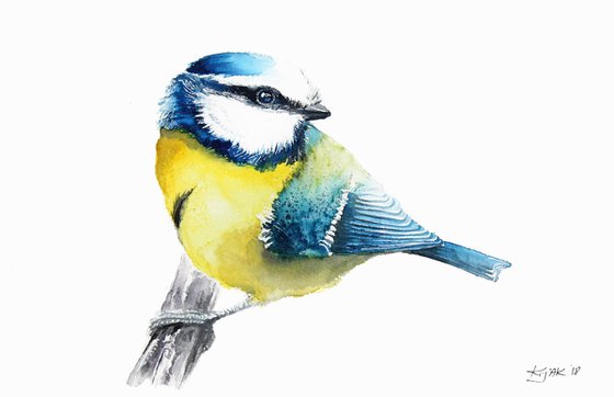 Blue tit II, 20x30cm, watercolour painting