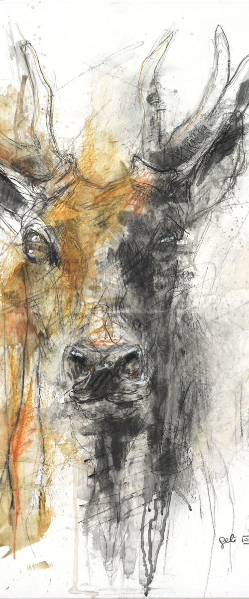 Deer by Benedicte Gele