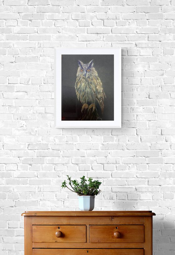 Wise Old Owl