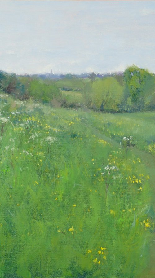 Buttercups and Cow Parsley by Alex James Long