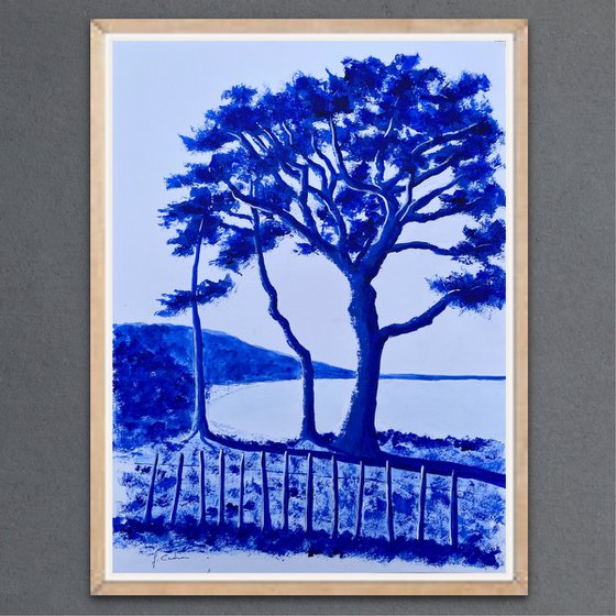 Palombaggia ultramarine