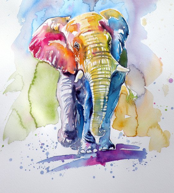 Colorful elephant
