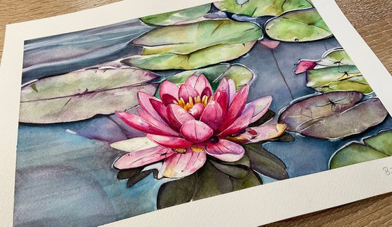 “Peace” lily pads watercolour painting