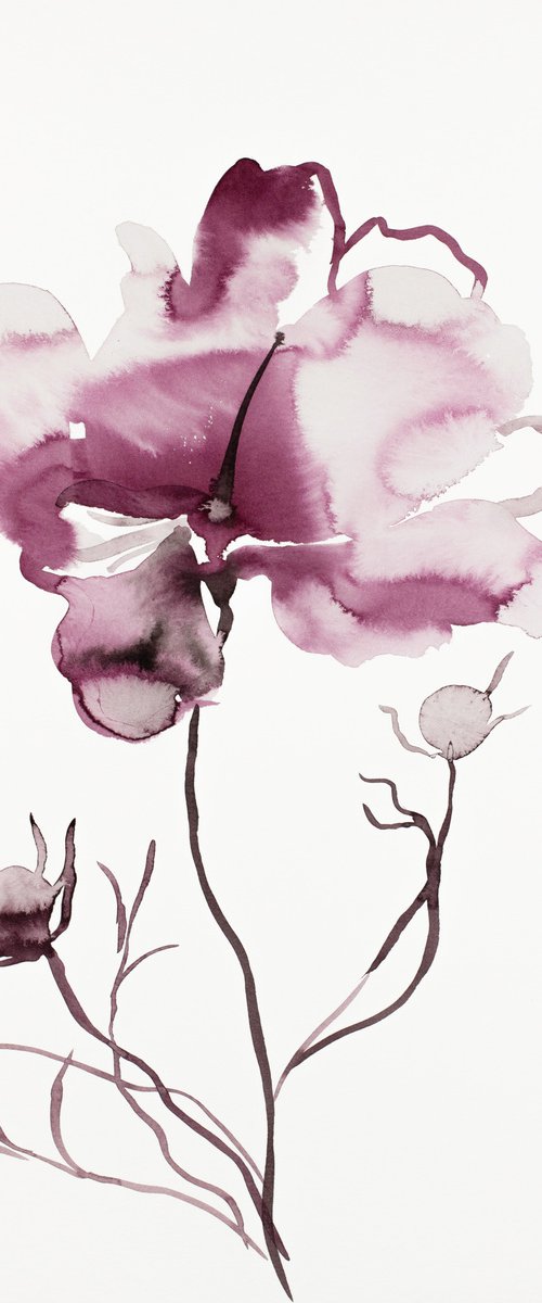 Cosmo No. 1 by Elizabeth Becker