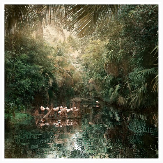 Backwaters Song  - Framed medium