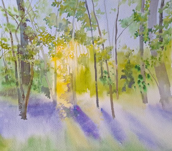 Bluebells at Oldmoor Wood II