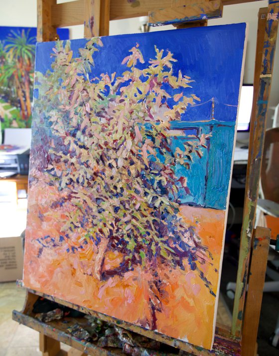 Little Walnut Tree