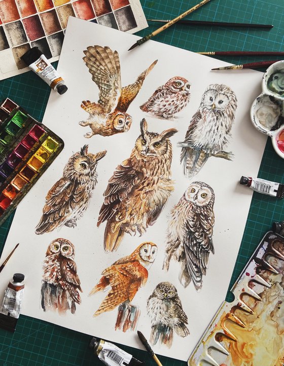 Eurasian Owls, wildlife, birds watercolours